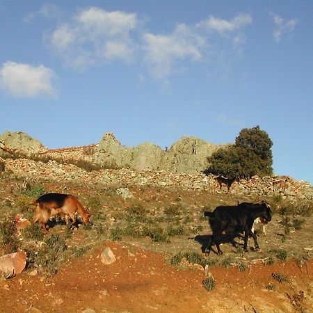 Madre Terra Pension La Puebla de la Sierra Buitenkant foto